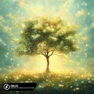 青草污视频免费在线观看
