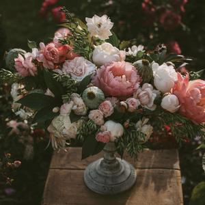 青草污视频免费在线观看
